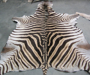 Zebra skin