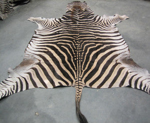 Zebra skin