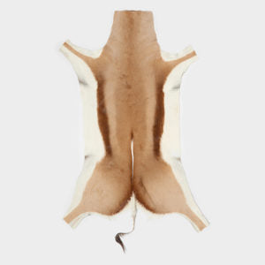 Springbok Skin